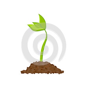 Simple sprouting seed drawing. Sprout, plant, tree growing agriculture icons. Vector illustration