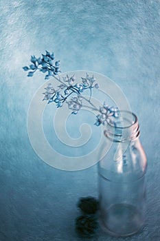 SImple stilllife shot with dried flowers and glass bottle photo