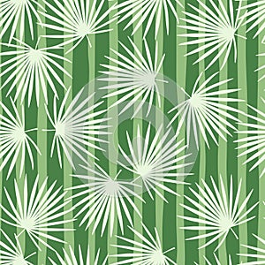 Simple stylized hawaii seamless talipot foliage branches pattern. Light ornament on background with green strips