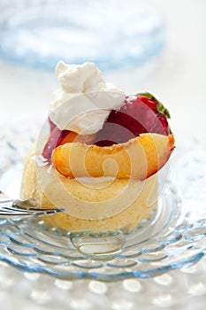 Simple Summer Fruit Dessert