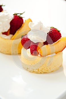 Simple Summer Fruit Dessert