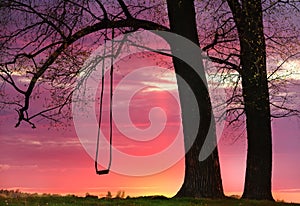 Simple swing on an old tree against the backdrop of the sunset sky.