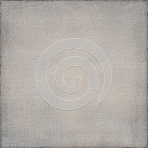 Simple Textured Neutral Cool Grey Background