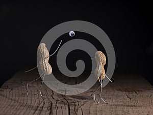 Simple Things - Casting an Eye