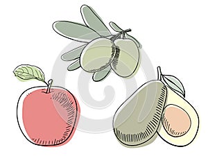 Simple three kinds of coloring fruit painting