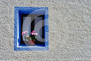 Simple tiny window with flower on rustic house wall of white and blue colours in Sallent-de-Gallego, Huesca, Aragon, Spain.