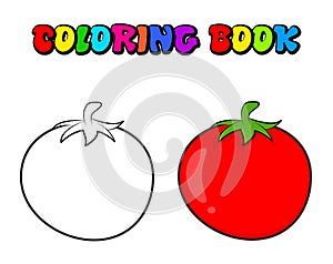 simple tomato outline for colouring book isolated on white background