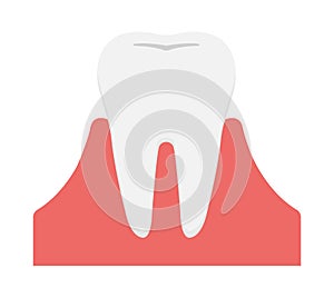 Simple tooth flat vector illustration no text