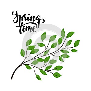 Simple Tree branch with green leaves. vector plant, isolated on white background with lettering spring time. Design element for