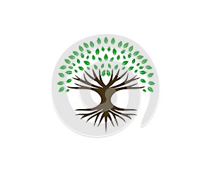 Simple Tree icon logo design inspiration isolated on white background