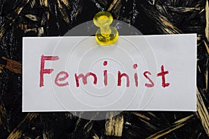 A simple and understandable inscription, feminist photo