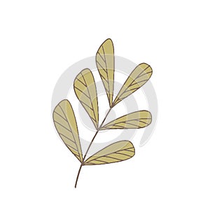 Simple unusual flowers