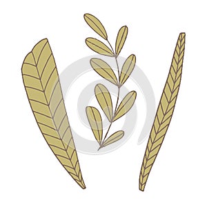 Simple unusual flowers