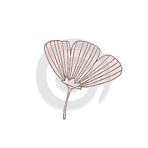 Simple unusual flowers