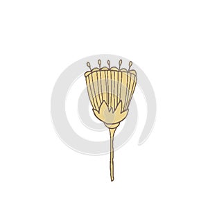 Simple unusual flowers