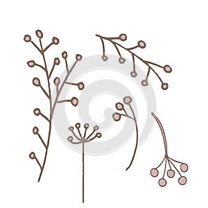 Simple unusual flowers