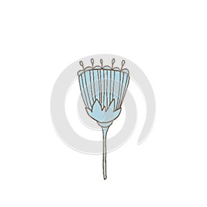 Simple unusual flowers