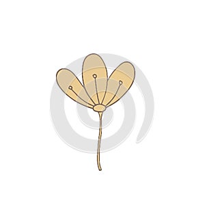 Simple unusual flowers