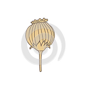 Simple unusual flowers