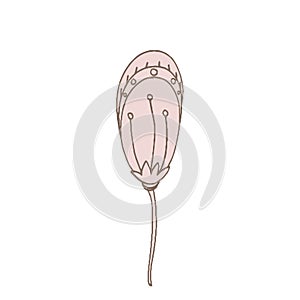 Simple unusual flowers