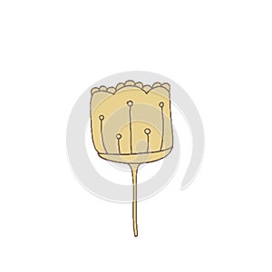 Simple unusual flowers