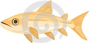 simple vector Dinichthys clipart