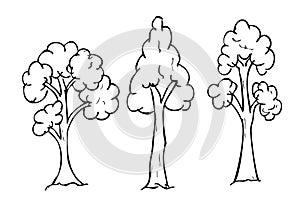 Simple Vector Hand Draw Sketch, Set 2 Tall tree and grass