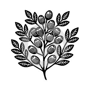 Simple Vector Icon of ArrayÃ¡n Logo Illustration.