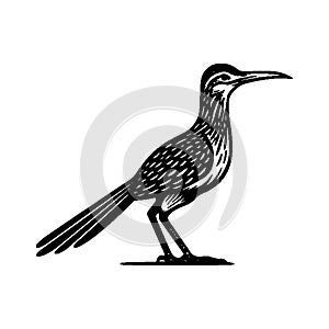 Chilean roadrunner simple logo vector icon design illustration.