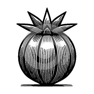 Simple vector icon fruta bomba logo design illustration.