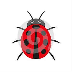 Simple vector illustration of red ladybug