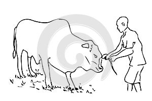 Simple Vector Manual Draw Sketch Cow and The Owner