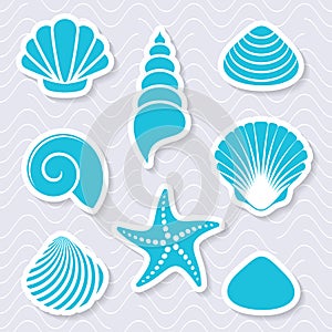 Simple vector sea shells and starfish