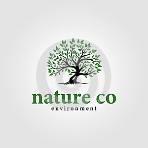 simple vintage nature tree logo vector icon design, earth environment illustration, branding minimalist design for business