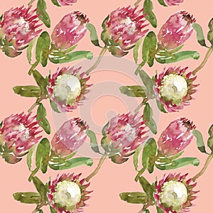 Simple watercolor pattern of protea flowers on a red background