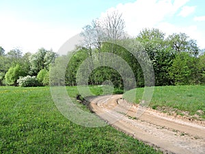 Simple way, grass and trees, Lithuania