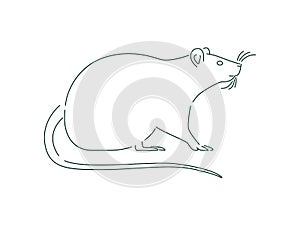 Simple white rat or mouse animal outline isolated