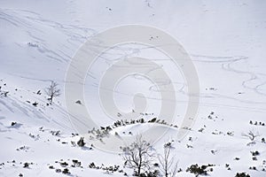 Simple winter alpine landscape covered with snow and some ski trails, Slovakia, Europe