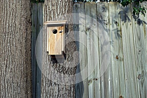 Simple Wood Birdhouse on Tree in Front of a Fence