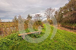 Simple wooden bench on the edge of a nature reserve in autumn