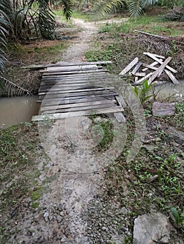Simple wooden bridge for crossing drain pathway