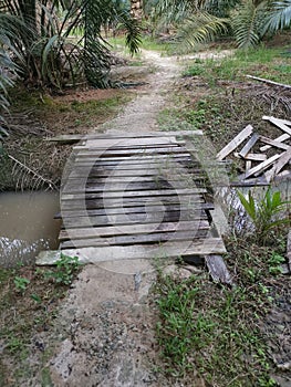 Simple wooden bridge for crossing drain pathway