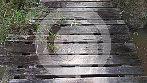 Simple wooden bridge for crossing drain pathway