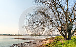 Simple wooden children`s hut in a bare tree