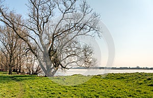 Simple wooden children`s hut in a bare tree