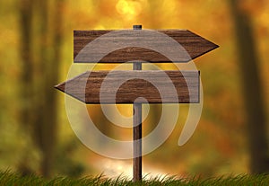 Simple wooden double direction arrow roadsign with autumn forest background