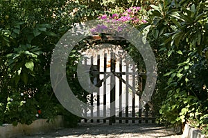 A simple wooden gate in a beautiful garden