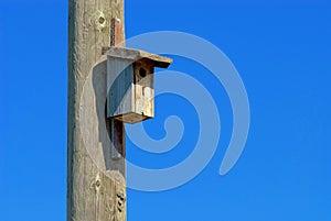 a simple wooden nesting box hangs on a wooden telephone pole