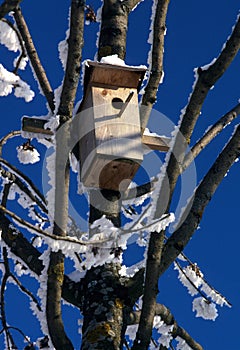 a simple wooden nesting box, winter