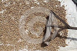 a simple wooden tool used to flatten cardamom seeds that are being dried in the hot sun.